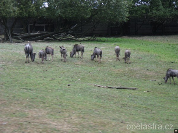 img00104.jpg