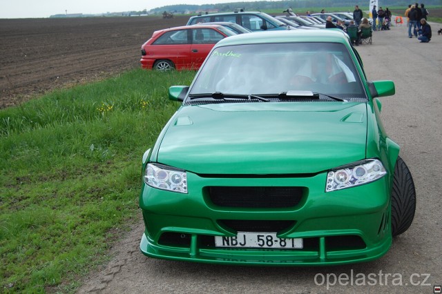 img00205.jpg