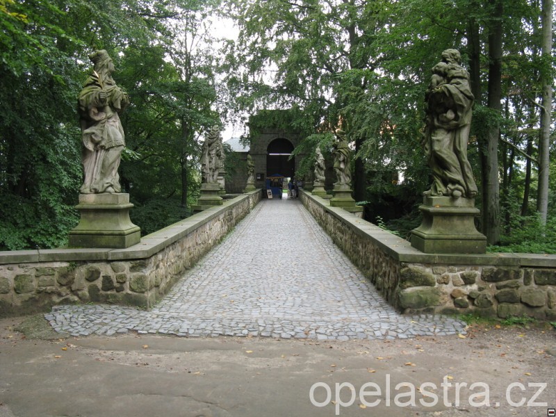 img00019.jpg