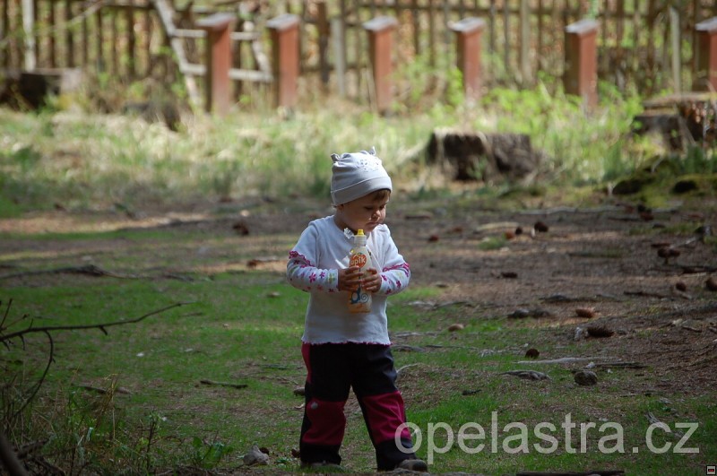 img00045.jpg