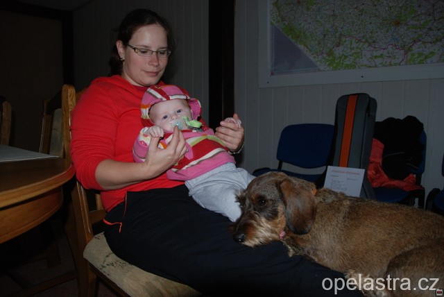 img00037.jpg
